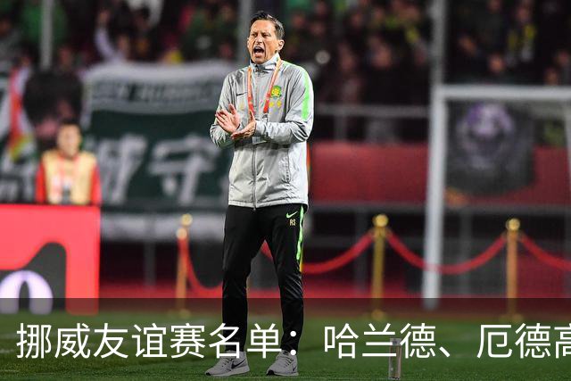 挪威友谊赛名单：哈兰德、厄德高领衔
